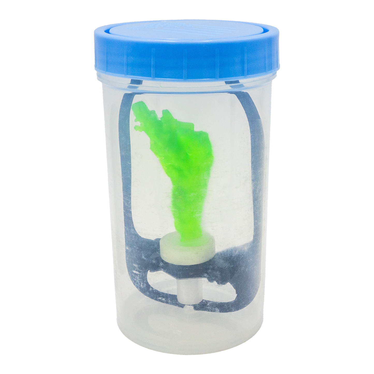 Coral Frag Transport Cup Kit