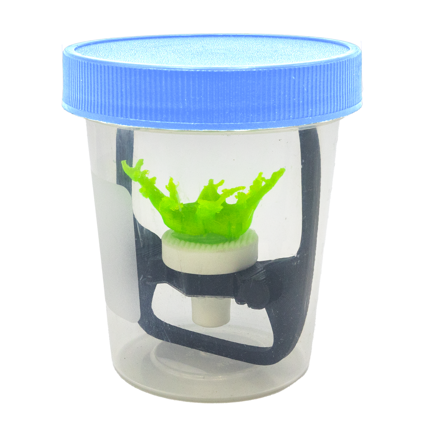 Coral Frag Transport Cup Kit