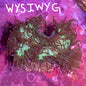 WYSIWYG Elegance Neon Green, with Purple Tips