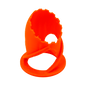 Scoly Stands for Scolymia Corals